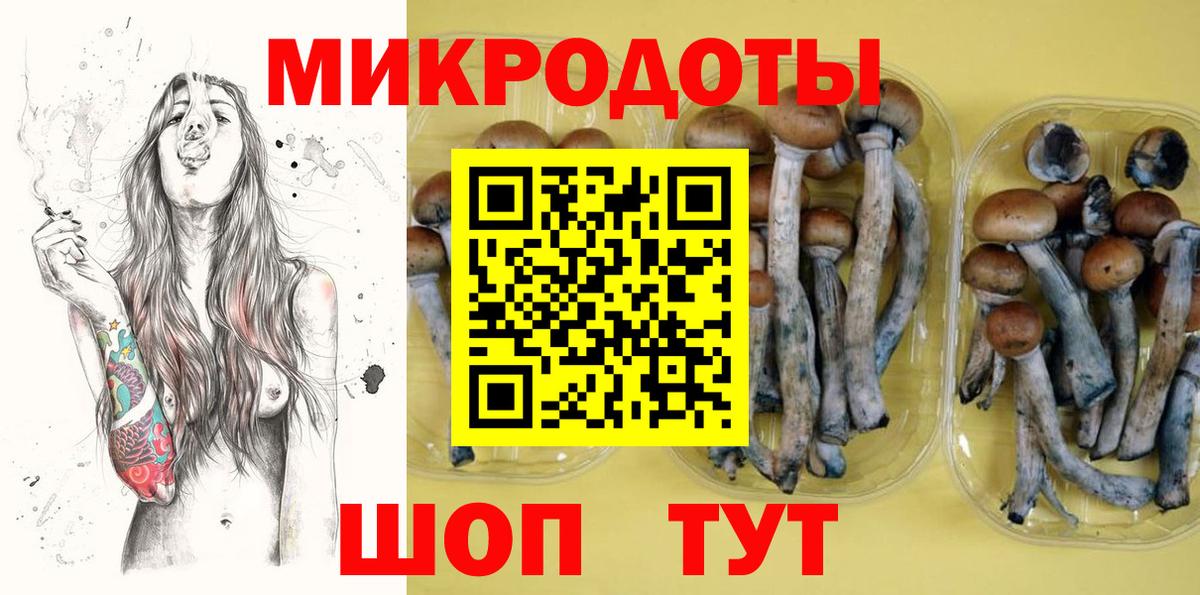 Самара  Галлюциногенные грибы Psilocybine cubensis  наркотики  Вход с VPN 