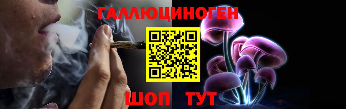 Галлюциногенные грибы прущие грибы Самара